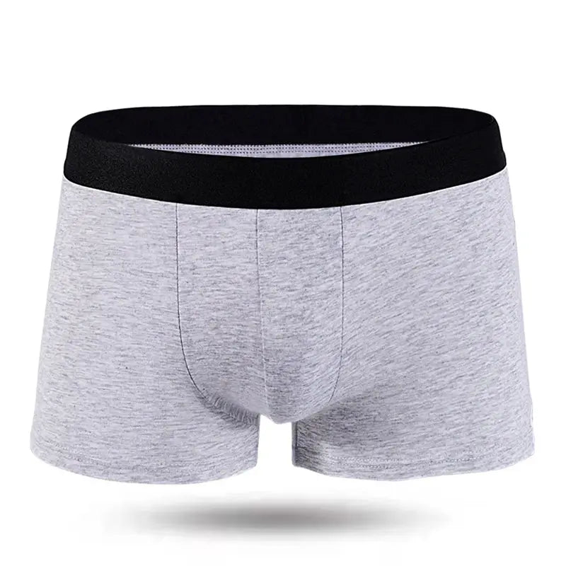 Kit cuecas boxer Samicce® (10 peças)